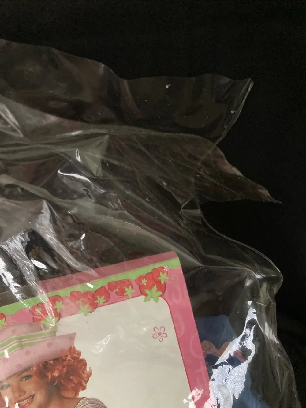 Strawberry Shortcake Cartoon Character Complete Dress Up Halloween Child Costume